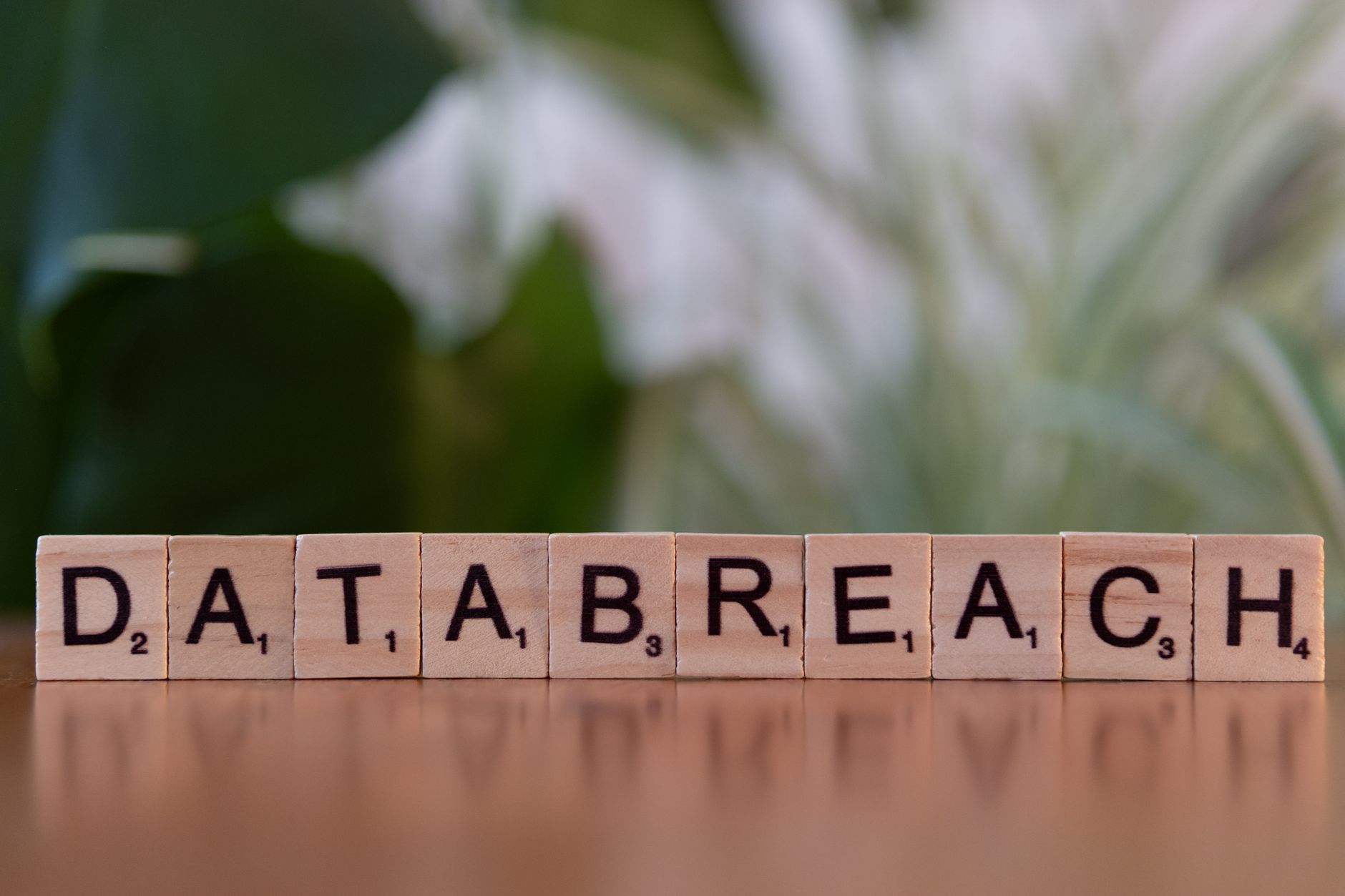Cyber Security, Threat Analysis, Security Assessment, Compliance Guidance, Cybe — Close-up of Scrabble tiles spelling data breach on a blur