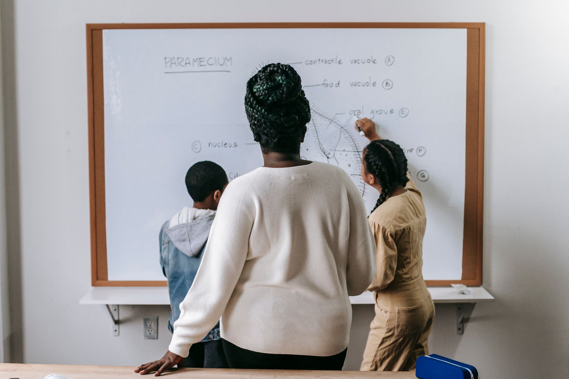 For Teachers, Lesson Plan, Quiz For Teachers, Classroom Resources, Create Lesso — Back view of anonymous African American woman watching on
