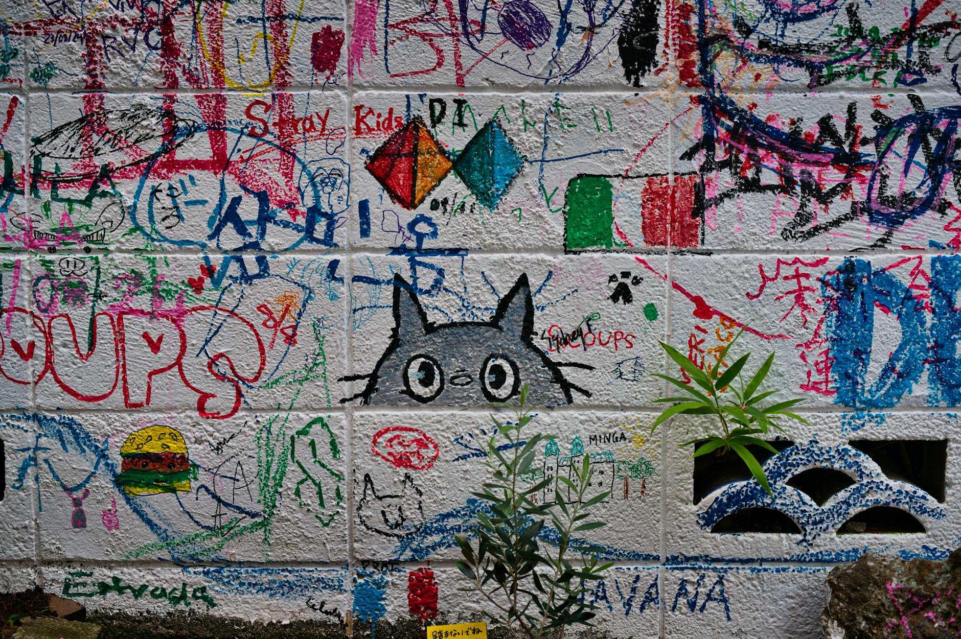 Ghibli Art — A vibrant graffiti wall in Tokyo with colorful illustrations and plants.
