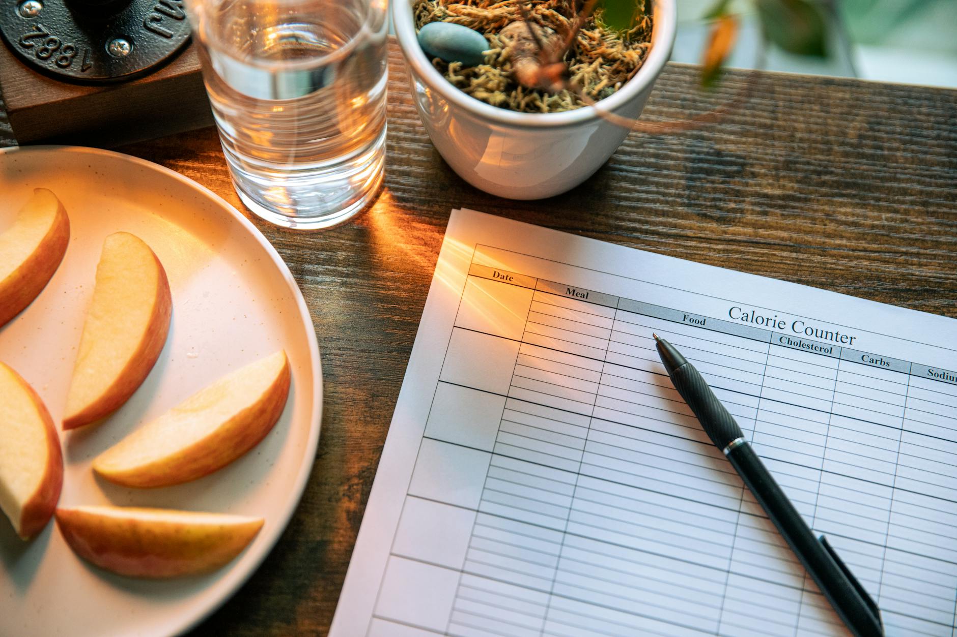 Meal Planner, Meal Plan, Diet Plan — Calorie counting setup with apple slices and glass of water on a wooden table.