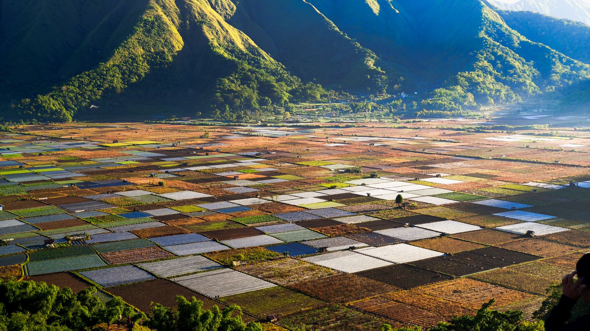 Seed Minecraft — A breathtaking aerial view of diverse agricultural fields nestled at the base of lush, sunlit mountains.
