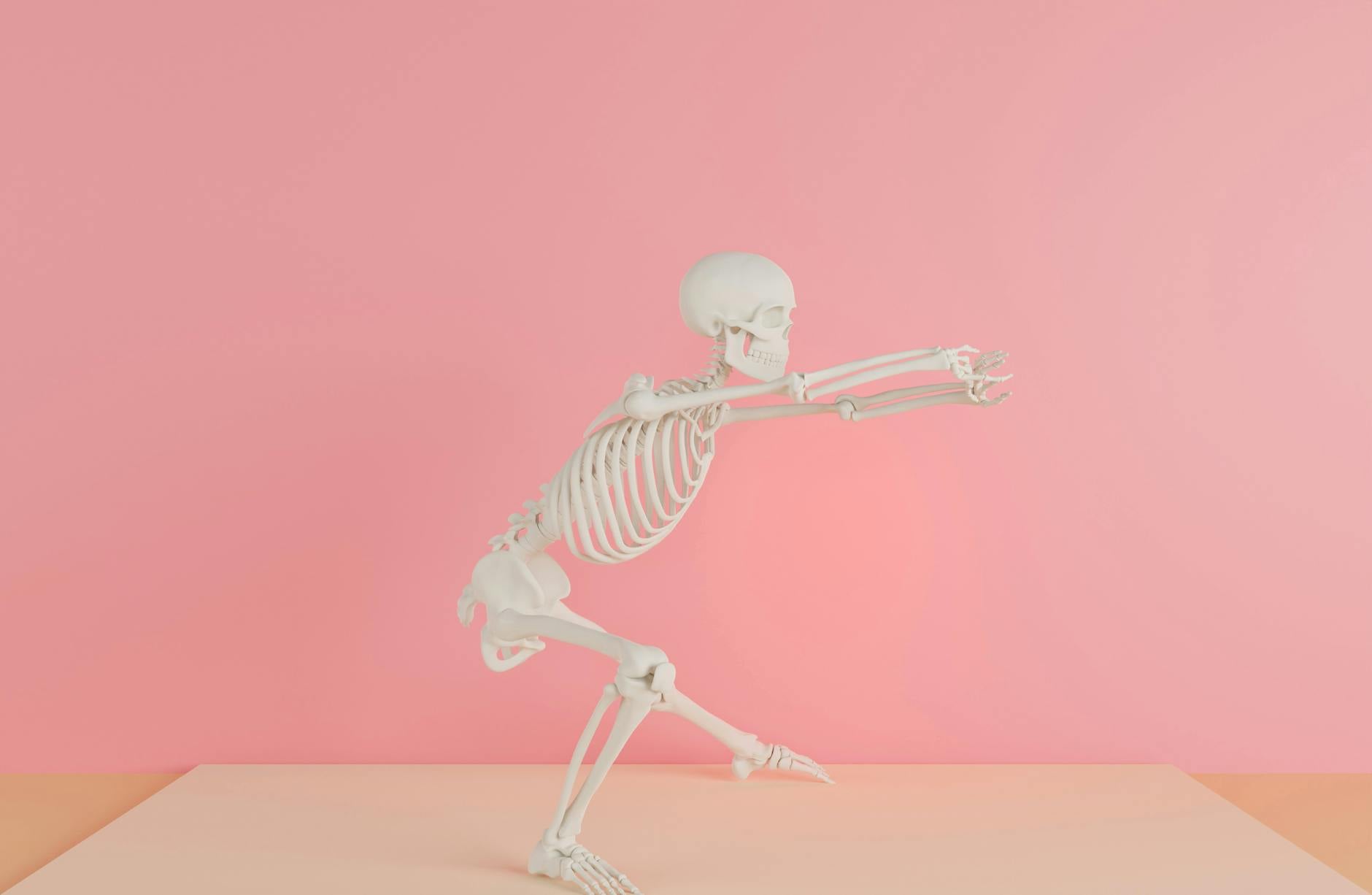 Skeleton Video — A human skeleton model posed creatively against a pink backdrop.
