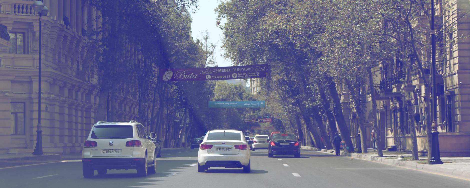 Subtitle, Auto Captions, Video To Srt, Captions, Subtitle — Cars driving on a tree-lined urban street with buildings and signs.