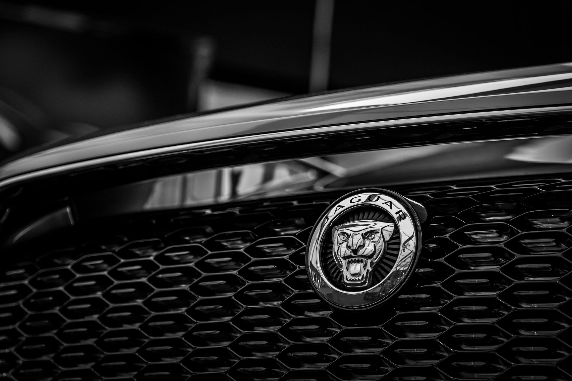 Best Image For Logo — Dramatic black and white close-up of a luxury car grille featuring an iconic logo. Sleek automotive design.
