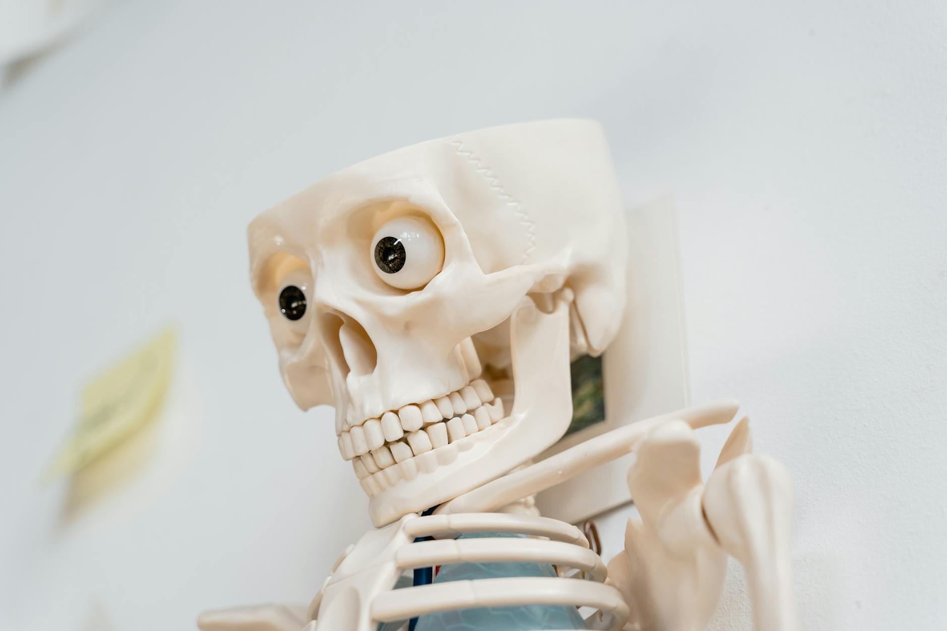 How To Make Skeleton Video, Viral Skeleton Video Tutorial, Skeleton Animation Vi — A close-up of a whimsical plastic skeleton with googly ey